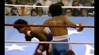 WOW FIGHT OF THE YEAR  Salvador Sanchez vs Wilfredo Gomez Full Highlights [upl. by Ahsilef]