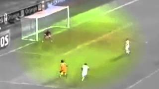 Gervinho goal vs mali  Ivory Coast  Mali 822012 [upl. by Tullius610]