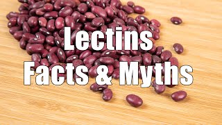 Lectins Facts amp Myths 700 Calorie Meals DiTuro Productions [upl. by Ulland]