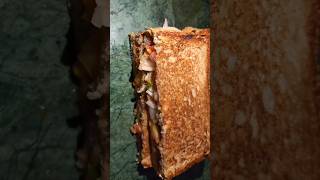 Easy Tasty And Healthy Breakfast  Sandwich Recipe  Vegetables Sandwiches yt mummykirasoi [upl. by Einotna904]