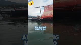 Malaking isda ba Nakita mo Relaks kalang akong bahala Sayo mahal ka naminsealife doglover [upl. by Gievlos]