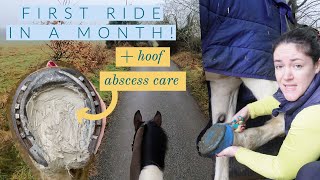 First Ride On My Horse in a Month Plus Hoof Asbcess Care  Riding With Rhi  Equestrian YouTuber [upl. by Euqinobe]