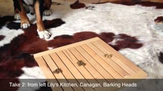 Review Grain Free Dog Kibble Canagan Chicken Vs Lilys Kitchen Vs Barking Heads Dog Food [upl. by Lila]