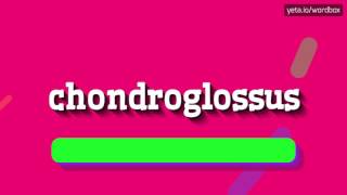 CHONDROGLOSSUS  HOW TO PRONOUNCE IT [upl. by Nivrem]