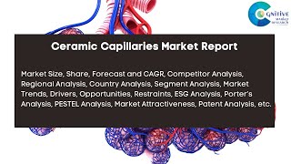 Ceramic Capillaries Market Report 2024 [upl. by Marin]