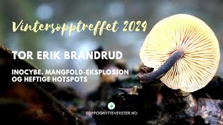 Tor Erik Brandrud Inocybe Mangfold eksplosjon og heftige hotspots Kan noe gjøres med mine trevles [upl. by Ylus210]