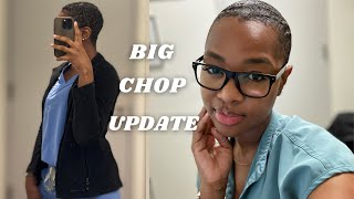 Do I Regret My Big Chop 2 Month Update [upl. by Llimaj]