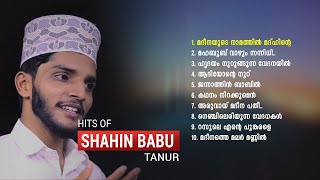 SHAHIN BABU TANUR TOP TEN SUPER HIT SONGS  SUPER HIT SONGS COLLECTION  HUBBURRASOOL [upl. by Laehctim]