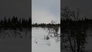 Saariselkä hiihtoladut Lappi Inari [upl. by Aeht]