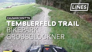 Temblerfelder Trail in Kals  Bikepark Großglockner  LINES [upl. by Aynotahs]