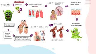 Bronquiolitis parte 1FisiopatologíaPediatría [upl. by Nalrah]