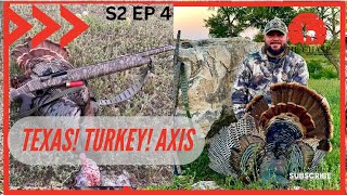 Texas Turkey Axis [upl. by Mavilia]