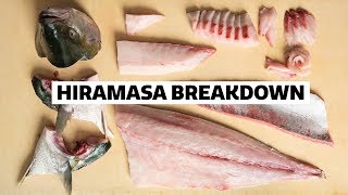 How to fillet a YELLOWTAIL for SUSHI [upl. by Gerda]