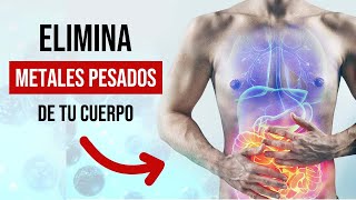 ✅ Cómo eliminar los metales pesados de tu cuerpo Dr Sergio Mejía [upl. by Easter]