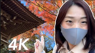 Autumn in Mt Takao  Tokyos Best Side Trip🗻🍁 [upl. by Ilzel]