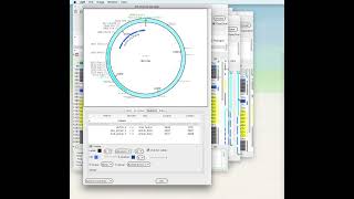 ApE Tutorial Video 11  Configuring graphic maps [upl. by Oimetra]