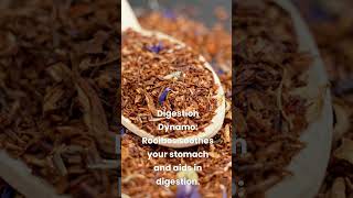 7 Amazing Health Benefits of Rooibos Tea [upl. by Cassandra]