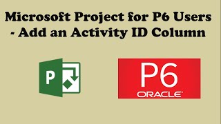 30 Create Activity Codes in Primavera P6 [upl. by Ivens74]