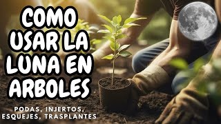 🌙 Como Usar La LUNA EN ARBOLES Podas Trasplantes Esquejes Etc 🌳🌕 [upl. by Tome124]