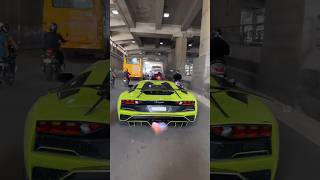 How feel like Lamborghini Huracan lamborghini india luxury sports shorts [upl. by Nirot]