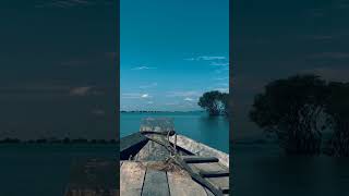 Discover the Tranquil Beauty of Tanguar Haor Bangladeshtravelshorts [upl. by Hploda]