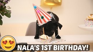 NALAS 1ST BIRTHDAY [upl. by Lorens]