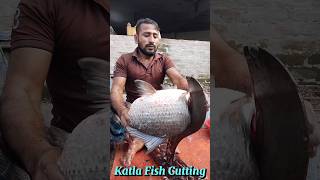 Amazing Great Delicious Big Katla Fish Cutting Techniques  Fish Cutting Skills [upl. by Burtie]