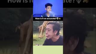 Try Not to Laugh Challenge 135🤣 funny shorts viral [upl. by Snowber]