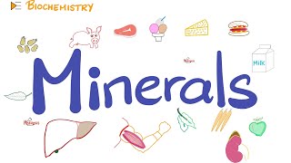 Your Body Needs Minerals Trace Elements  Diet and Nutrition [upl. by Eilerua]