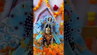 Laddu goppal ji radha shringar premanandjimaharaj love radheradhebolnapdega [upl. by Nyladam]