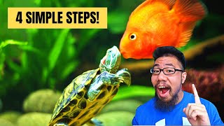 How To Keep Fish With Turtles [upl. by Rosalie]