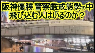 阪神タイガース 優勝で、道頓堀 飛び込みライブカメラ！警察の警備をくぐり抜けて何人飛ぶか！ [upl. by Lalitta]