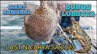 MAY PABAON NA LOBSTER ANG 2023 LAST NA ARYA MAY PANG NEW YEAR NA netfishing lobsterfishing arya [upl. by Inanak]