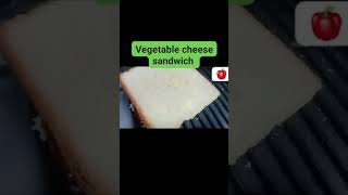 Aajker akta blog korichi vegetable cheese sandwich 🧀🧀🥪🥪🥪 [upl. by Gwendolen]