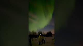 Seeing the northern lights for the first time✨ northernlightsmagic finland aurora fyp ✨ [upl. by Ratcliffe]