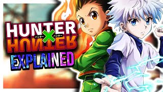 Hunter X Hunter Explained In 3 Minutes [upl. by Ivanah]