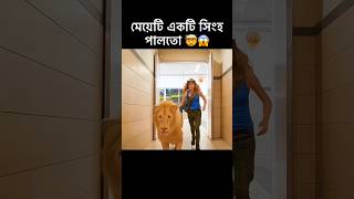 মেয়েটি একটি সিংহ পালতো 🤯😱 shorts shortsfeed lion [upl. by Dyraj]