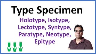 Type Specimen  Nomenclature Type  Typification in botany [upl. by Hamitaf]