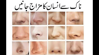 10 Nose Types and Your Personality  ناک کے ذریعے کسی شخص کا مزاج جانیں [upl. by Ettennahs]