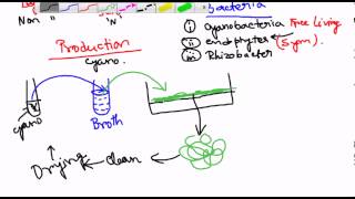 Biofertilizers [upl. by Cinom890]