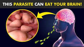 How This Parasite Eats Human Brain Naegleria Fowleri 😱 [upl. by Woodcock228]