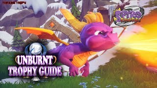 Spyro 2 Riptos Rage  Unburnt Trophy  Achievement Guide [upl. by Kcirdneked924]