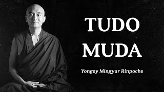 Yongey Mingyur Rinpoche  Tudo Muda [upl. by Izaak890]