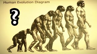 Die harten Fakten über die Evolutionstheorie [upl. by Karwan344]