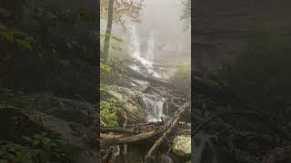 Panther Creek Falls Cohutta Wilderness  Scenic Vista  Panther Creek Falls Cohutta Wilderness [upl. by Retrak273]