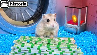 🐹 HÁMSTER ladrón ROBÓ el BANCO y ESCAPÓ 🐹 Mascotas Homura Ham [upl. by Akcirre]