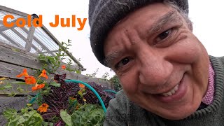 A Cold July Allotment Gardening Diary [upl. by Seuqram]