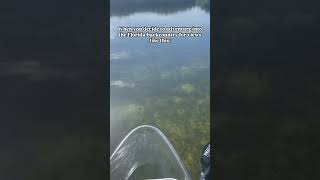 Clear waters a slight breeze and clear kayaks makes for a perfect day in the Florida Keys [upl. by Ernaline145]