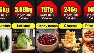 What Does 1000 Calories Looks Like In Different Foods  How To Get 1000 Calories From Different Food [upl. by Hayifas]