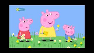 Peppa Pig Buttercups Daisies And Dandelions [upl. by Airla]